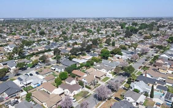 Astrologer reading a birth chart beneath a star-filled sky